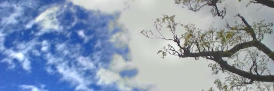 Daipayan Nair banner