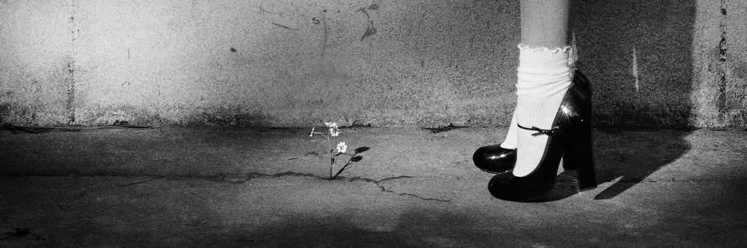 romainpstr's profile banner image