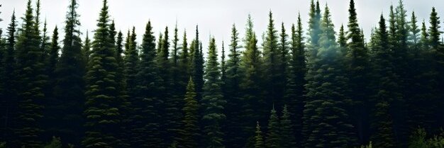 Earththeonlyhom's profile banner image