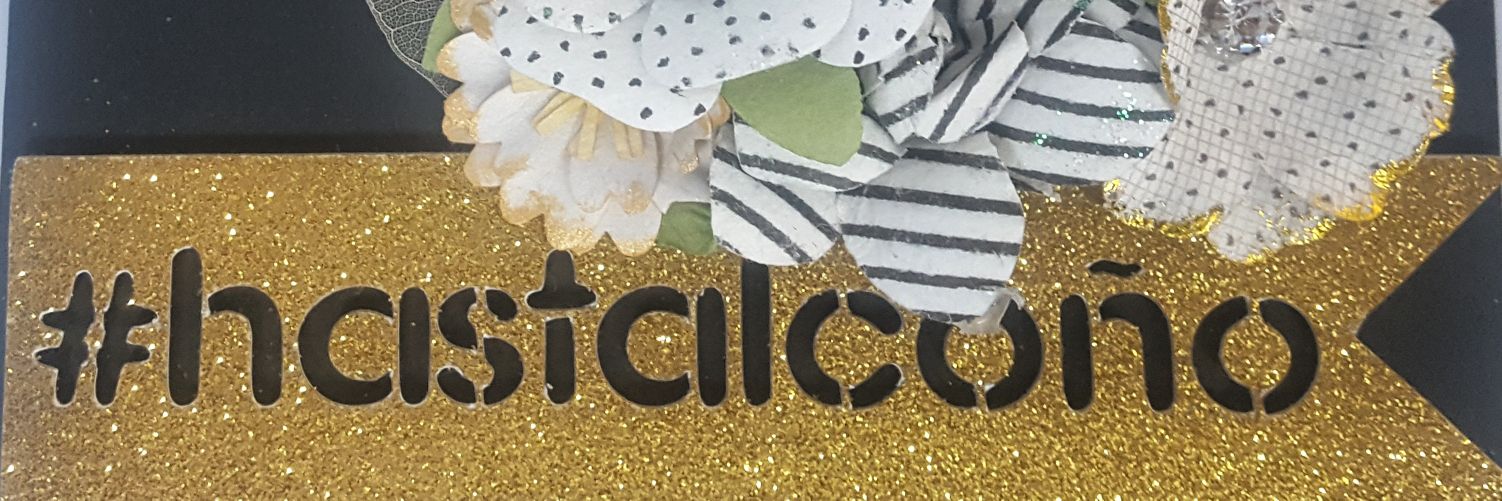 AnaSol banner