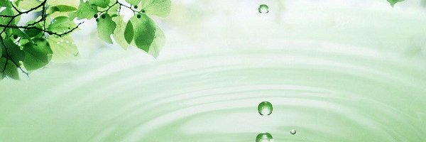Eniyah Ha banner