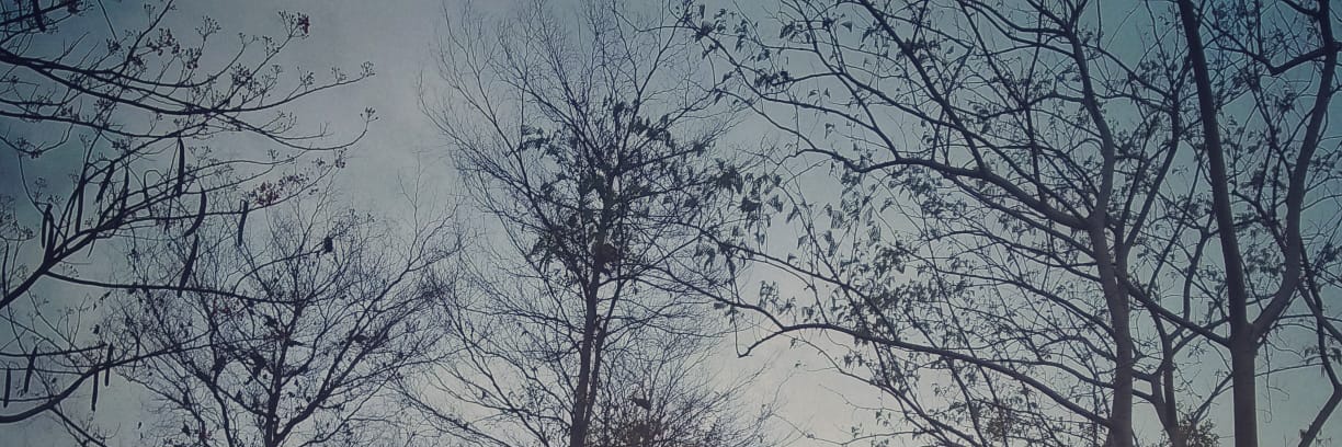 stattysky's profile banner image