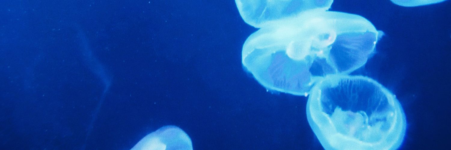 三一 banner