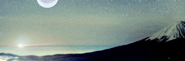 JustONEbigtree's profile banner image