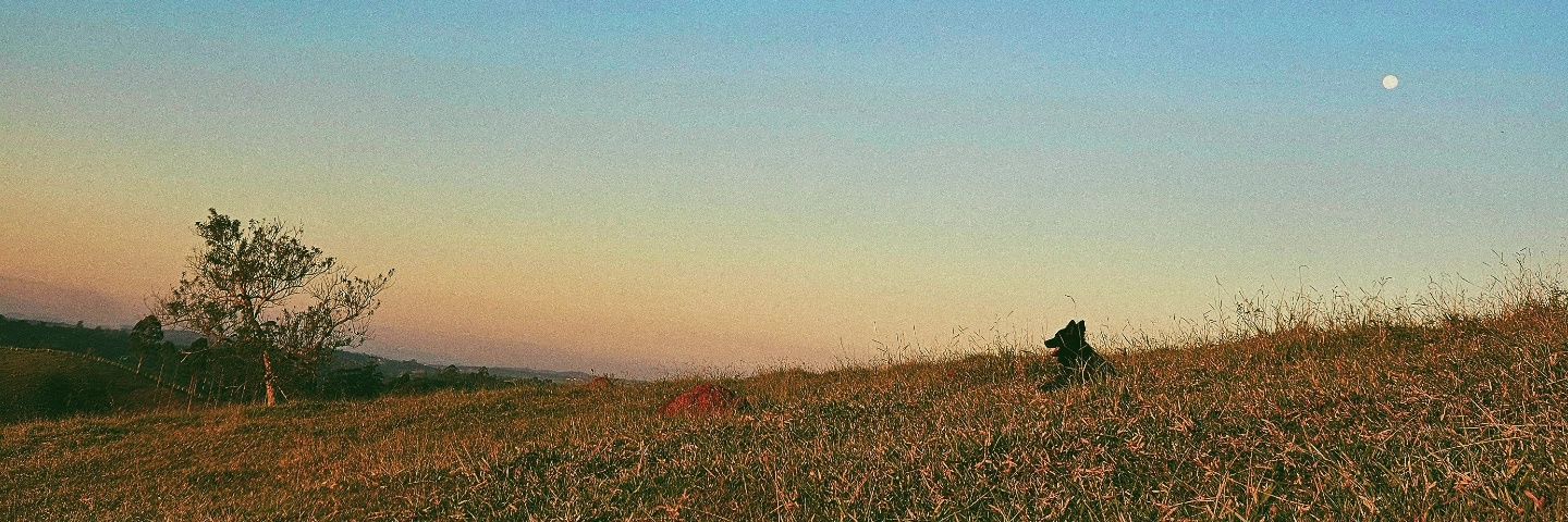 apxxtes's profile banner image