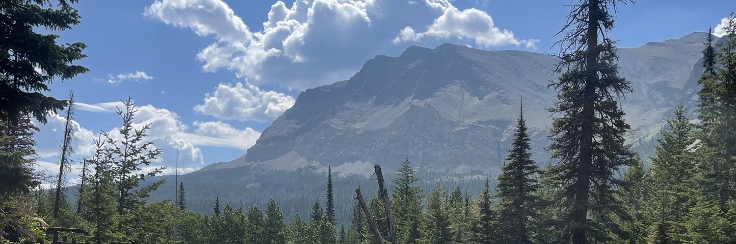 abigaillllll_'s profile banner image
