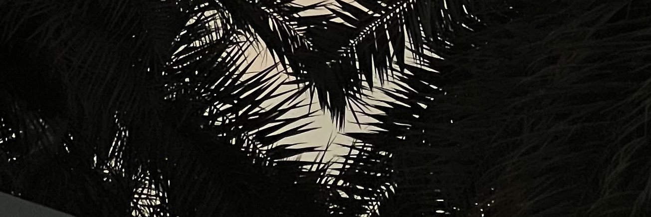 مـثايـل 🪄 banner