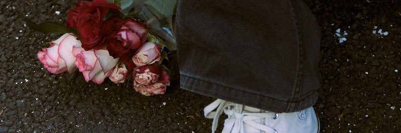 سيسي banner