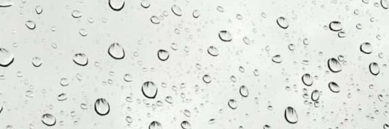🌸 banner