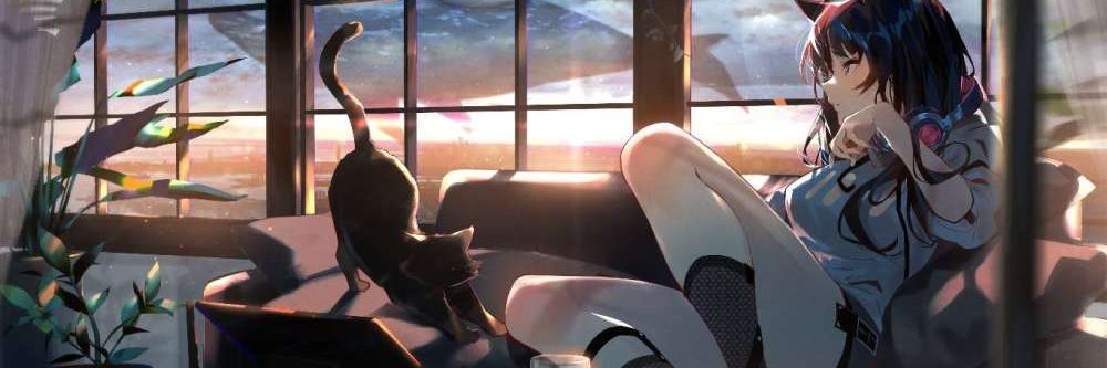 宝哥 banner