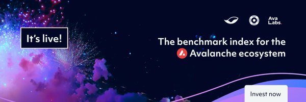 cai_index Profile Banner