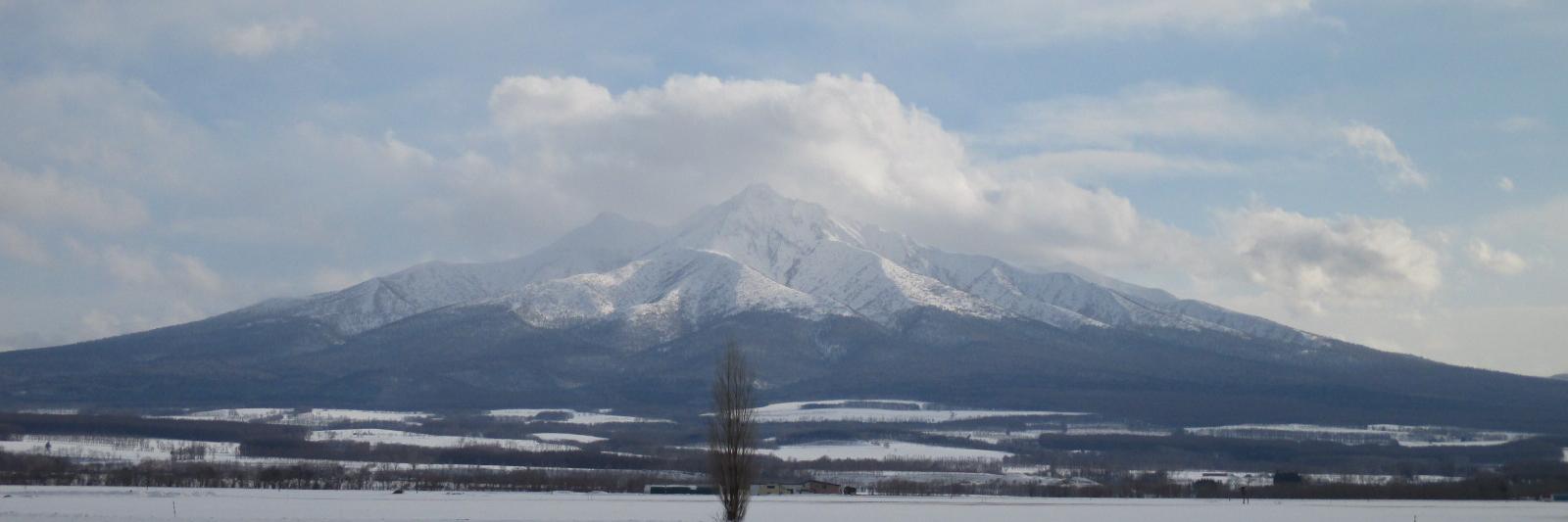 各種の学校（地域別） banner