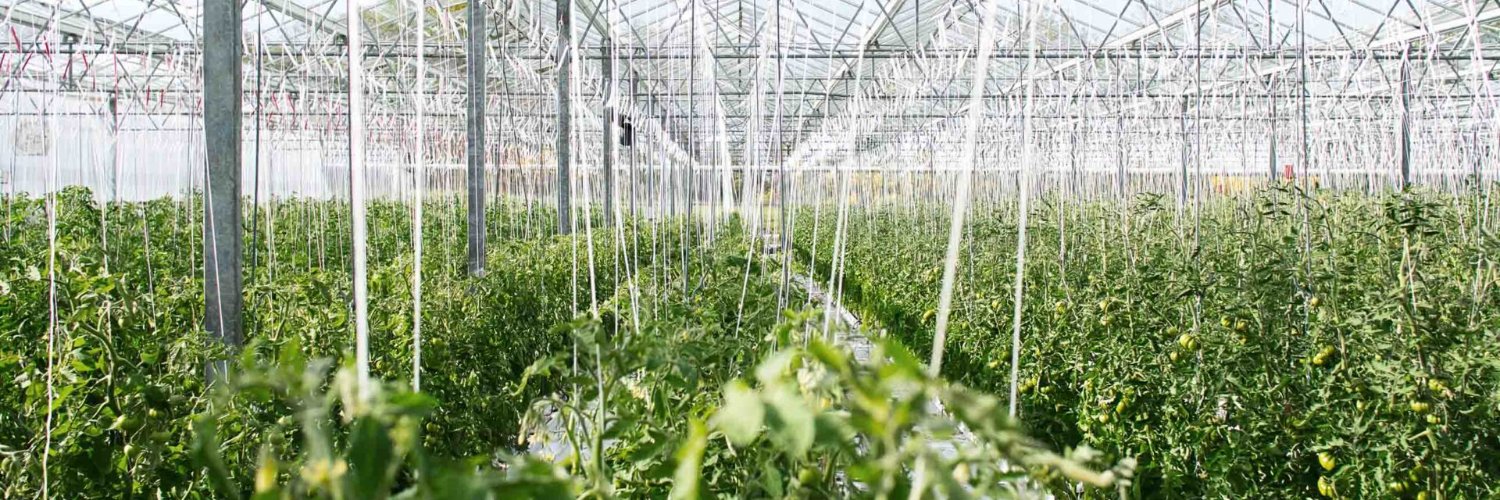 BlueFilter Company banner