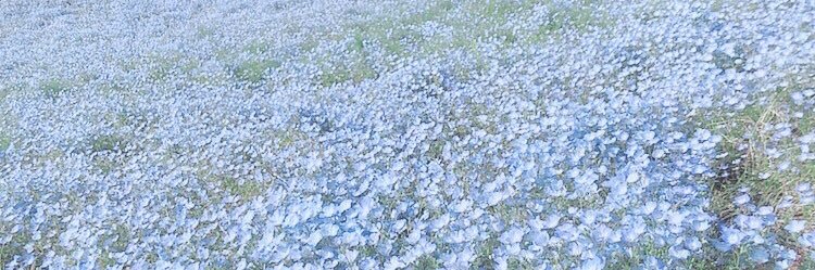 y200_grs's profile banner image