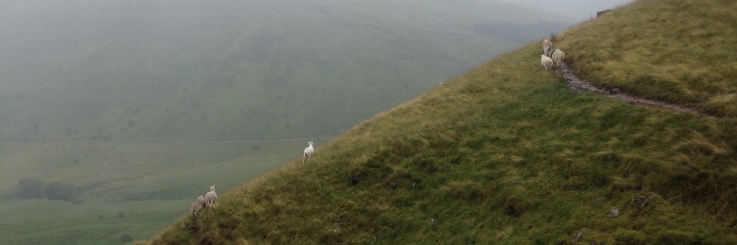 chadpardoe's profile banner image