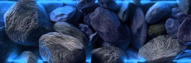 Ivan Lopez banner
