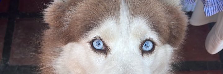danielcca_'s profile banner image
