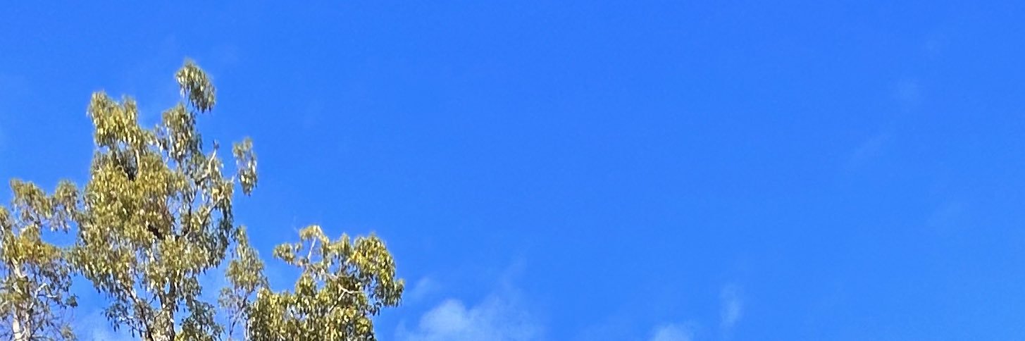 gnsdmyboy's profile banner image