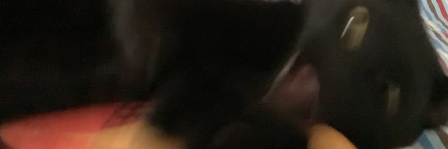 Agent8ツ banner