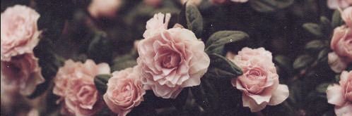 ashtyndavis's profile banner image