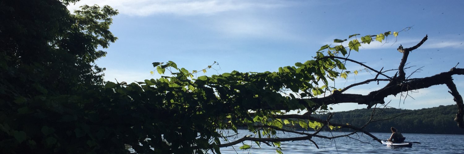 SergeantMeatLog's profile banner image