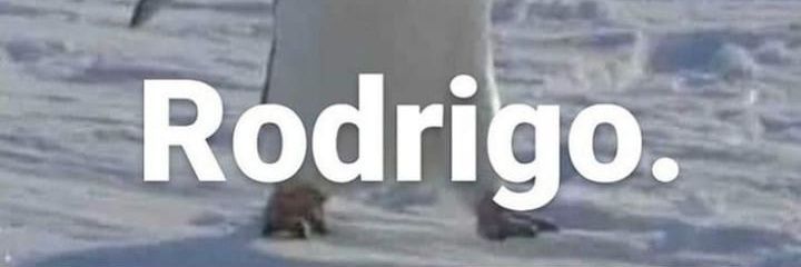 Rodrigo banner