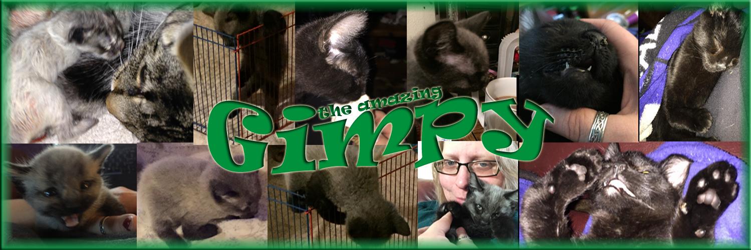 Gimpsters's profile banner image