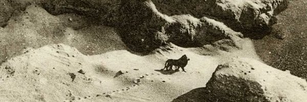 leo_caesaris Profile Banner