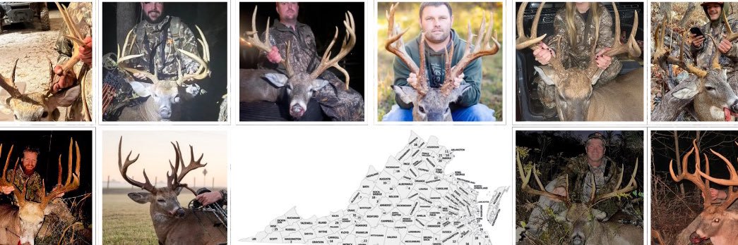 The Check Station banner