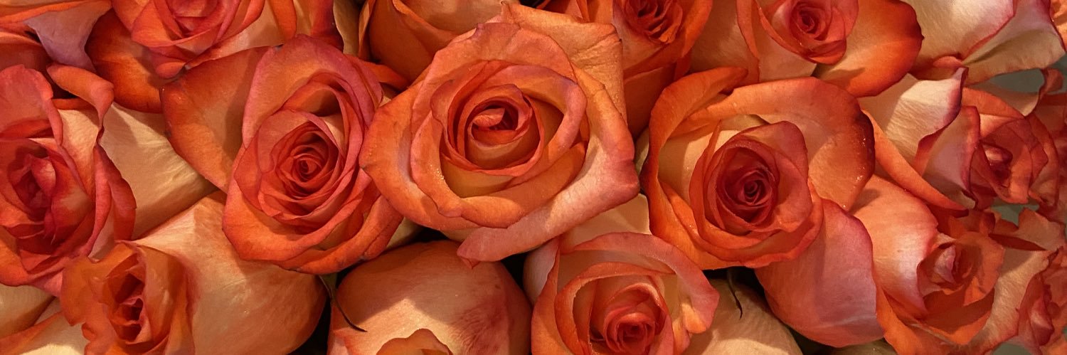 _karlotaa's profile banner image