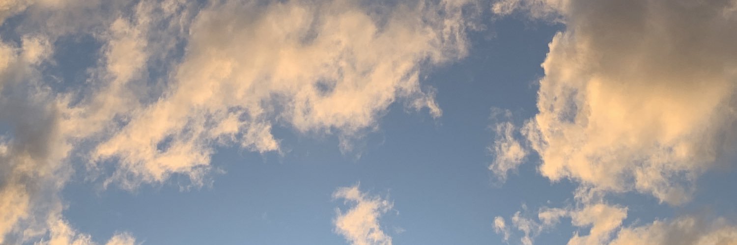 viqicobos's profile banner image