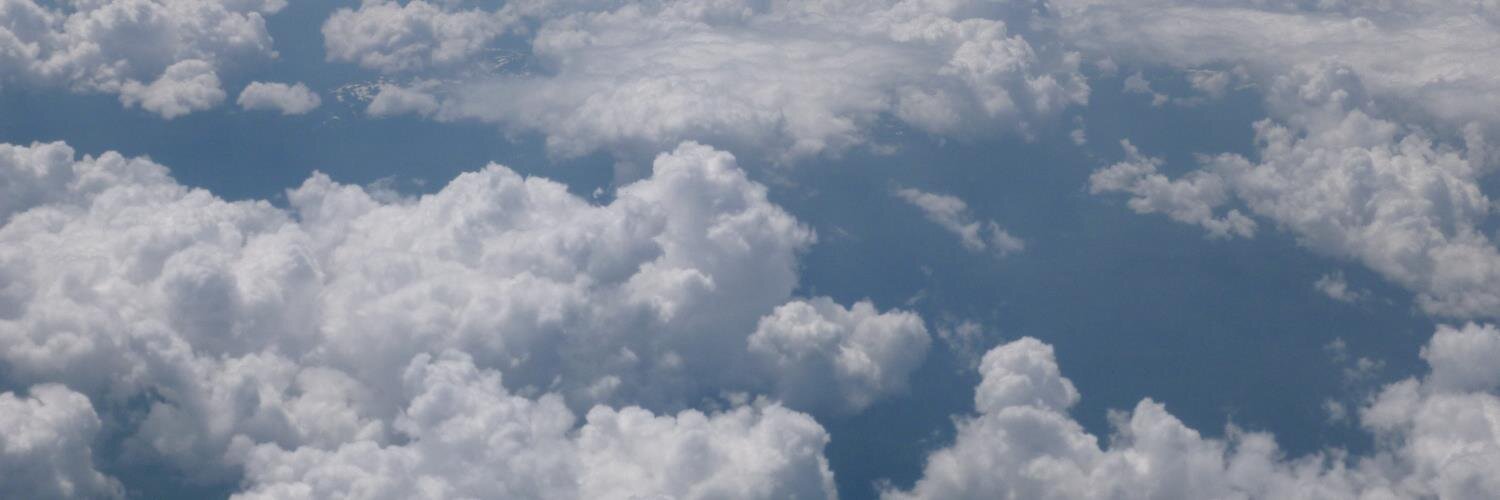 catmouse707's profile banner image