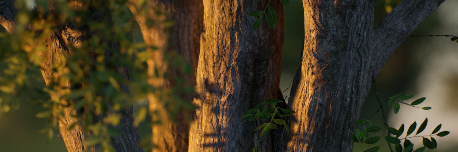 rabellogp's profile banner image