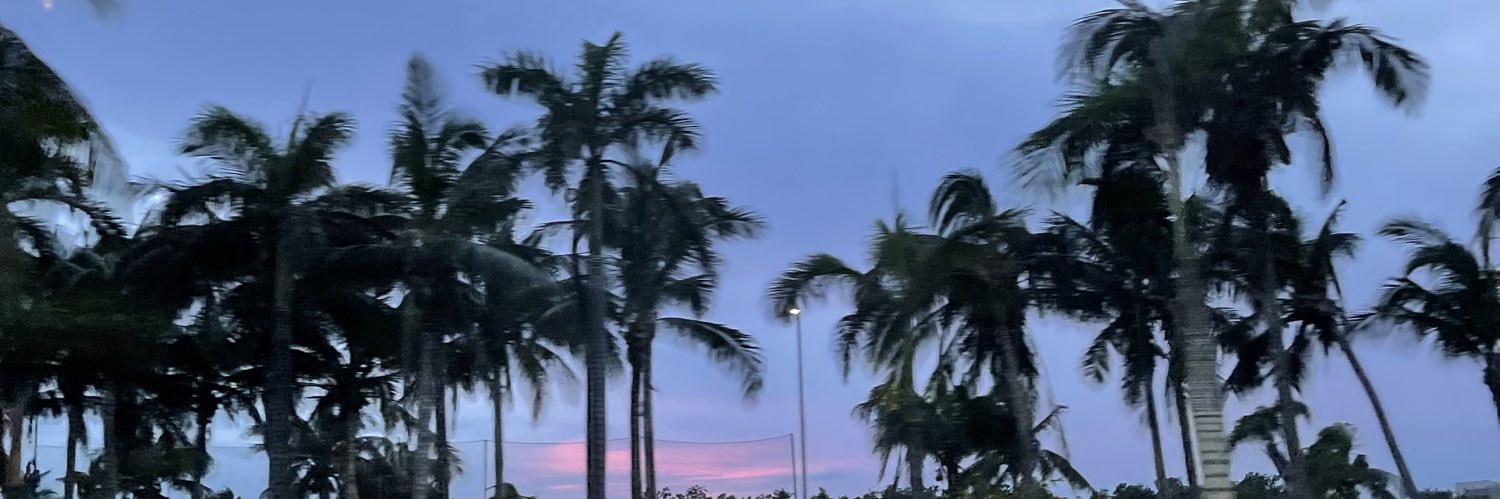 Lorizzle_'s profile banner image