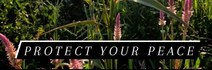 Crackpot31's profile banner image