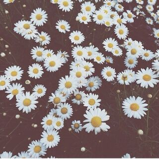 ndyrmdn's profile banner image