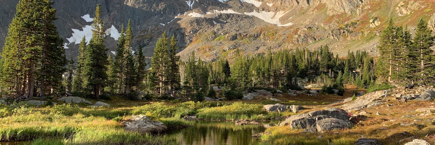 Dan FitzSimons banner