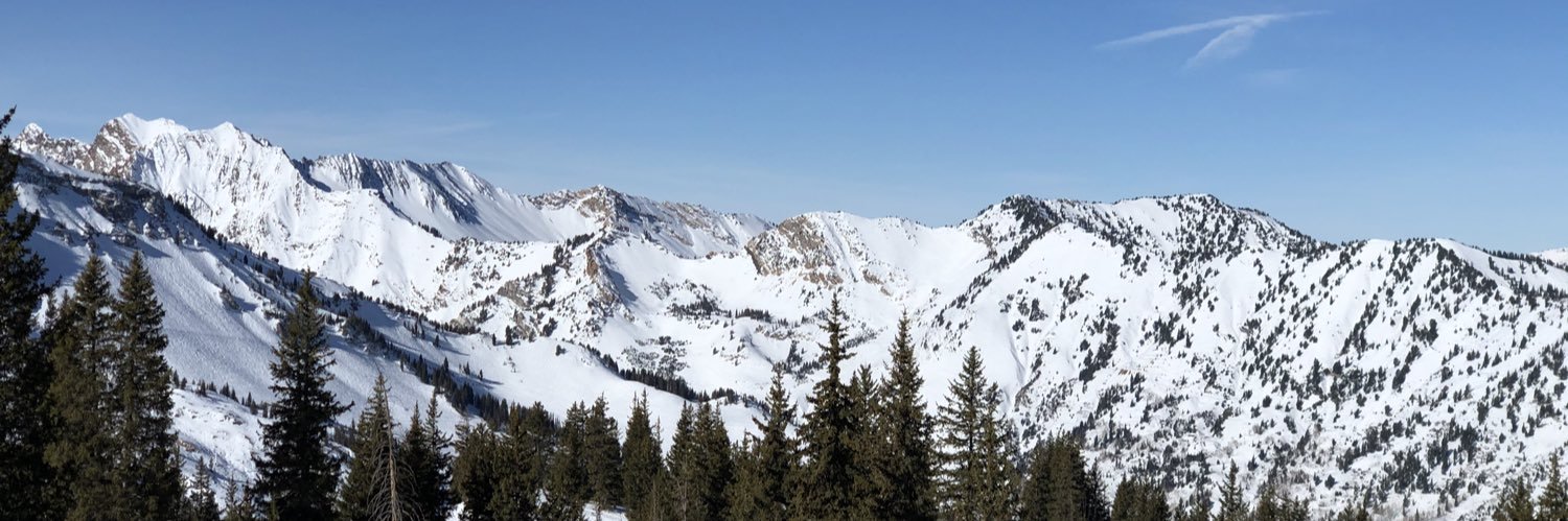 Sydney Decker banner