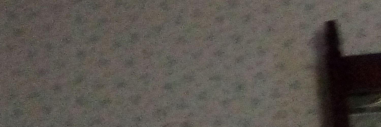 Tgeecheeurl's profile banner image