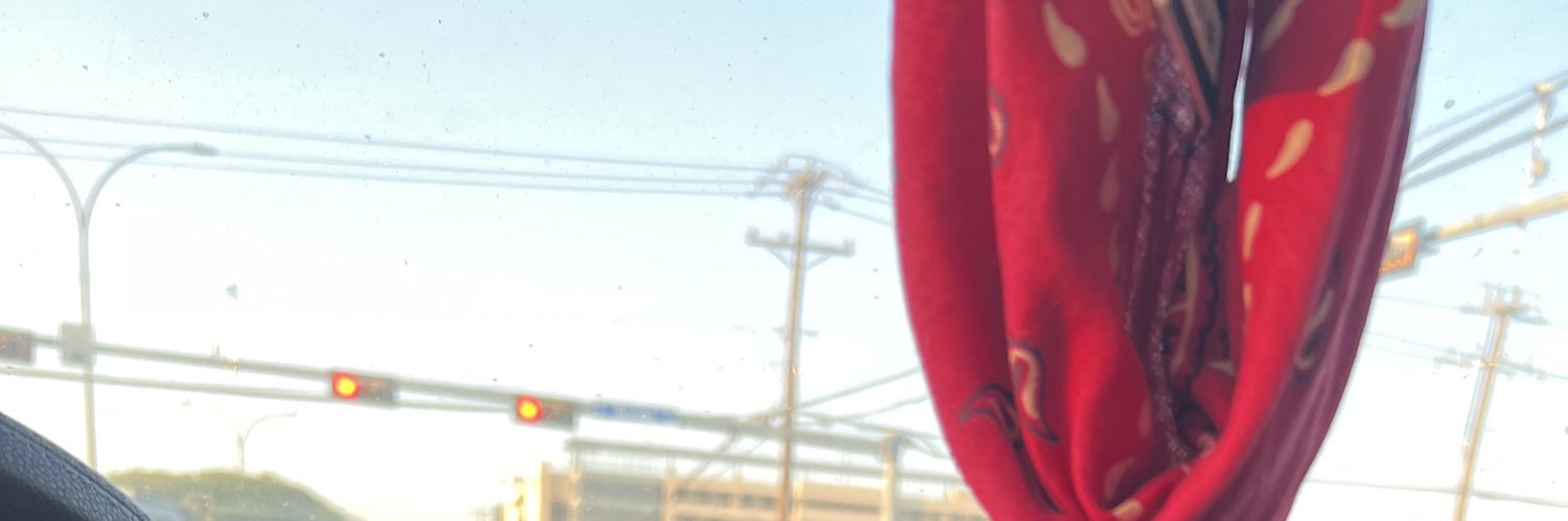The Supplexorcist🩸's banner