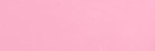 Findom Paypig ✙ banner