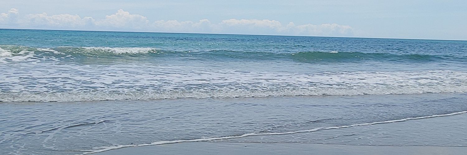 dulcevox's profile banner image