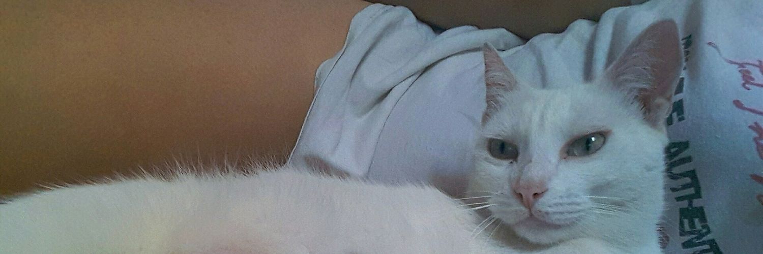 s0alb's profile banner image