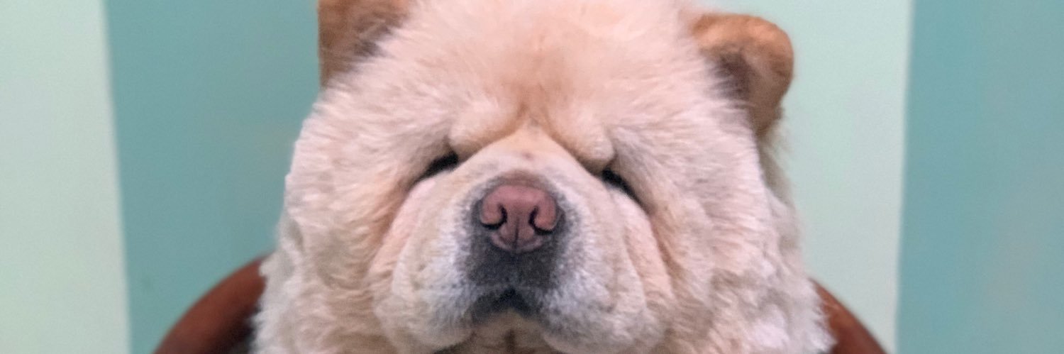 _naomitonee's profile banner image