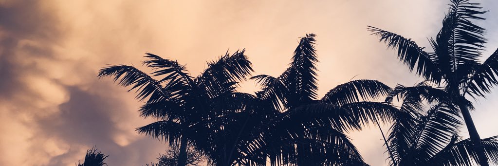 Kim_Naughton's profile banner image