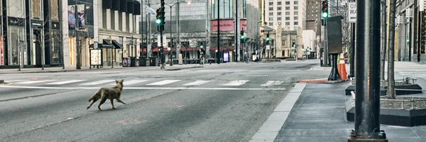 Butlerjustin Profile Banner