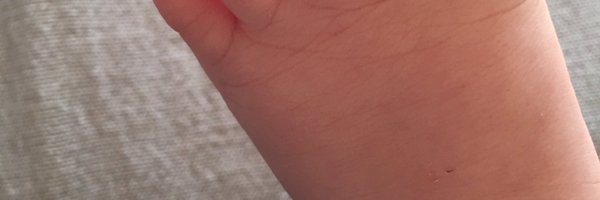 flordeflora Profile Banner