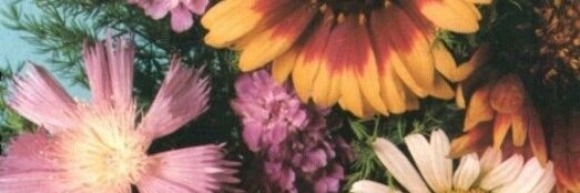 otragurisa's profile banner image