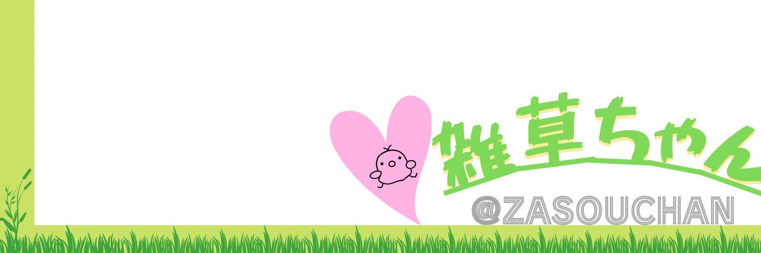 ZASOUCHAN's profile banner image