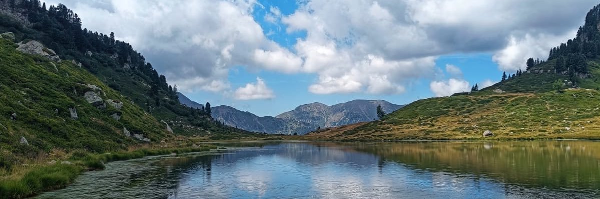 Davide Coluccia banner